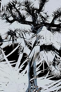 Plastic Tree [完全生産限定盤] [CD + DVD + BOOK](中古品)の通販は 7,785円