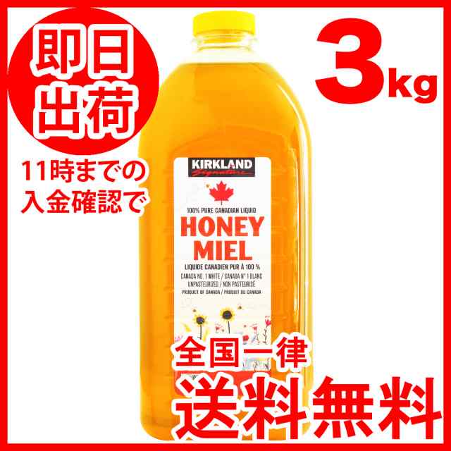 賞味期限が近いため処分セール】はちみつ 3kg 100% ピュア 蜂蜜