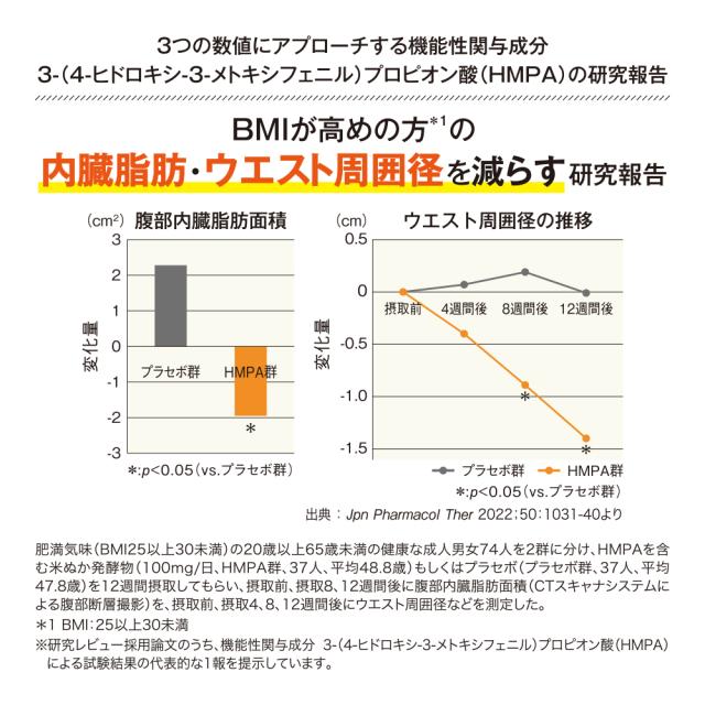 【 山田養蜂場 】糖脂カットスリム ＜30袋＞ 3箱セット 機能性表示食品 サプリ サプリメント 個包装 粉末 無味無臭 植物由来 イソマルトデキストリン HMPA 食物繊維 食事 飲みやすい 健康 送料無料 母の日_7