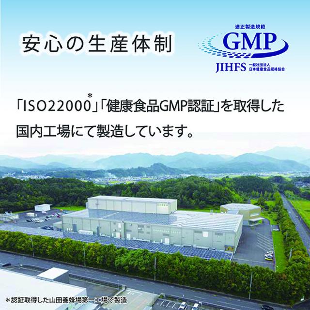 免疫分析研究センター 5-ALA（ファイブアラ）3袋セット サプリメント 日本製造 450mg（1粒15mg） 約30日分×3 国内GMP認証工場 GMP ISO アミノ酸 健康維持 送料無料 母の日_6