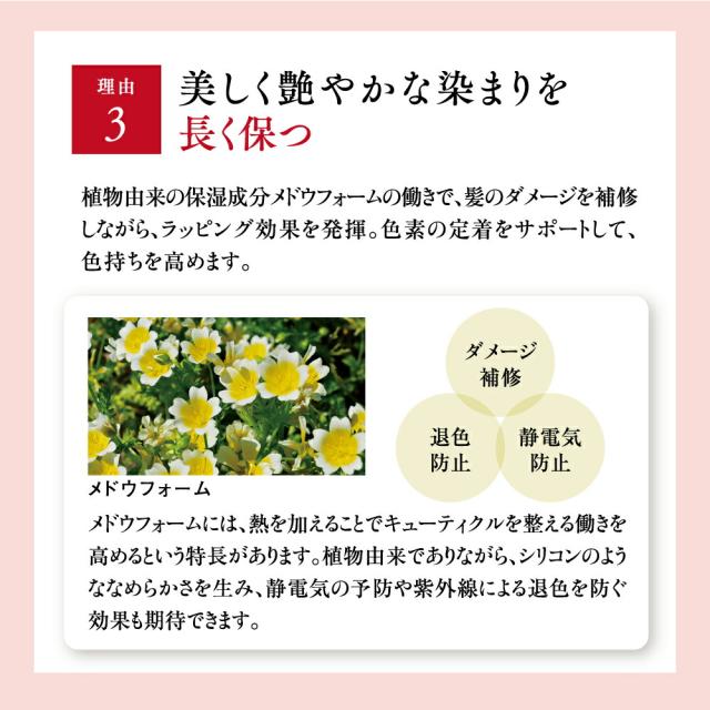 山田養蜂場 RJヘアカラートリートメント ライトブラウン ＜210g