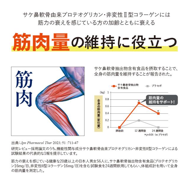 【山田養蜂場】 筋骨ケアローヤルロコモ30粒袋入×3セットプロテオグリカン サケ鼻軟骨由来 非変性2型コラーゲン 大豆イソフラボン ローヤルゼリー サプリメント サプリ 健康食品 健康 ひざ関節 動き サポート 曲げ伸ばし 立つ 歩く 座る ギフト 送料無料 母の日_6