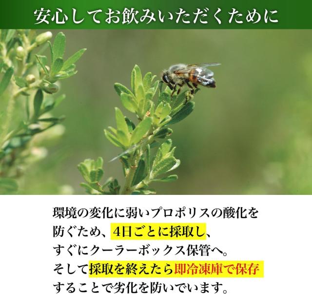 山田養蜂場 プロポリス300 100球 瓶 プロポリス ビタミン ミネラル サプリメント サプリ 粒 ソフトカプセル 健康食品 健康 活力 元気 いきいき 若々しい 飲みやすい ギフト プレゼント 送料無料 父の日 お中元_4
