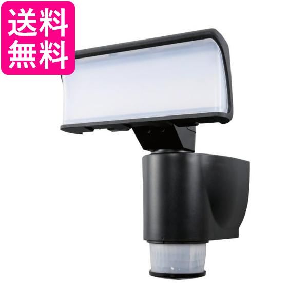 新品】サマーデイズ summer days /takenoko /筍