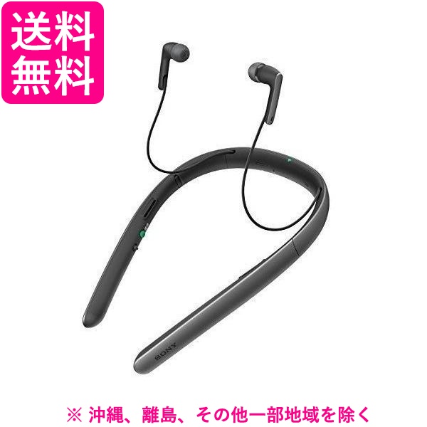 SONY 首かけ集音器 SMR-10 B