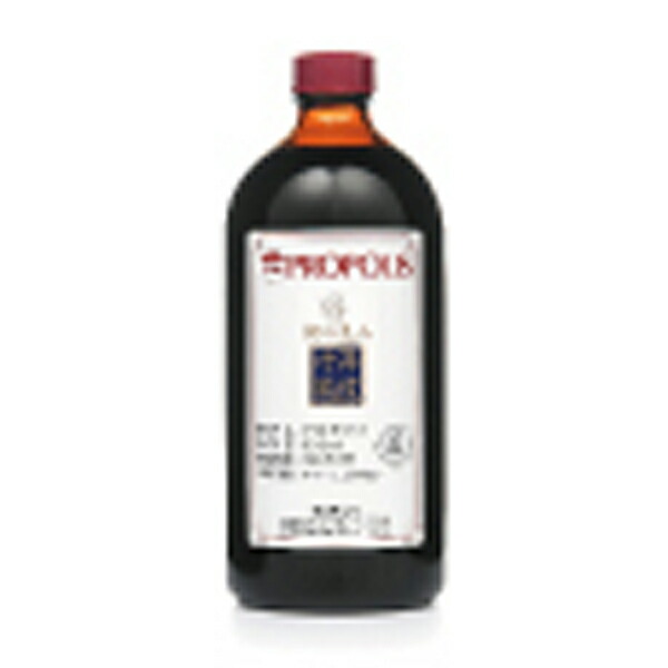 HERBALIFE フルーティー マンゴー 2本セット