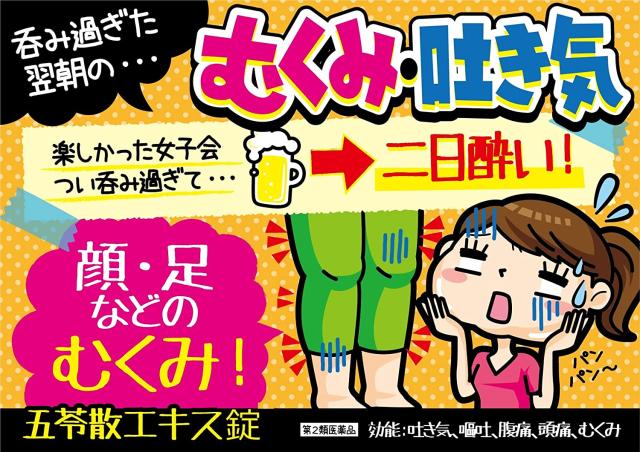 【第2類医薬品】クラシエ薬品 クラシエの漢方 五苓散錠 540錠(180錠×3個)＜水様性下痢 急性胃腸炎（ 暑気あたり 頭痛 むくみ 二日酔＞［漢方薬番号：17ゴレイサン］_3