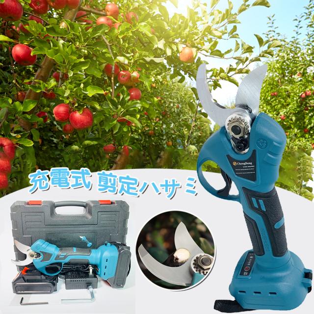 即納 電動剪定ハサミ 剪定ばさみ バッテリー2個付き 剪定バサミ コードレス 充電式 切断直径30mm 収納ケース 枝切ばさみ 枝切りバサミ 剪定鋏 軽量 女性 庭木