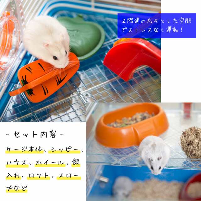 送料無料/即納】 イタリアferplast社製 ミニデュナマルティ
