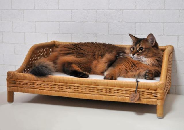 ペット用ベッド ラタンソファーベッド キャラメル 猫用 推奨体重〜7kgまで 56.5×39.5×2.5cm_1