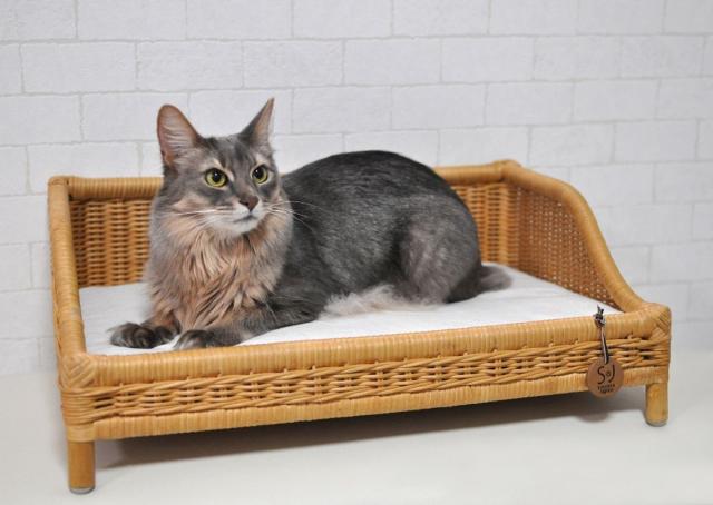 ペット用ベッド ラタンソファーベッド キャラメル 猫用 推奨体重〜7kgまで 56.5×39.5×2.5cm_2