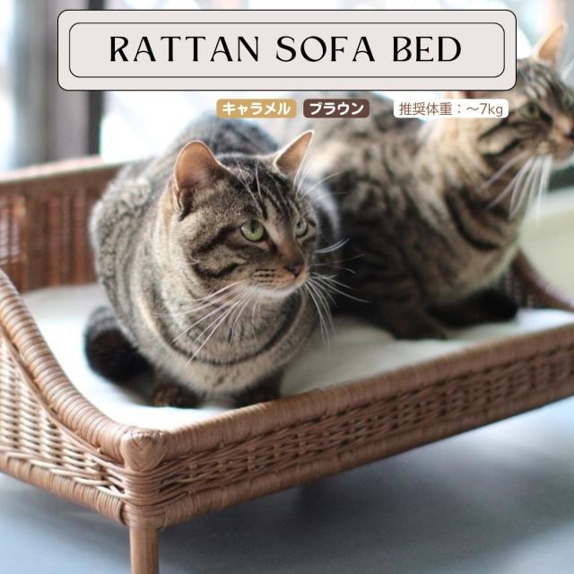 ペット用ベッド ラタンソファーベッド キャラメル 猫用 推奨体重〜7kgまで 56.5×39.5×2.5cm_3