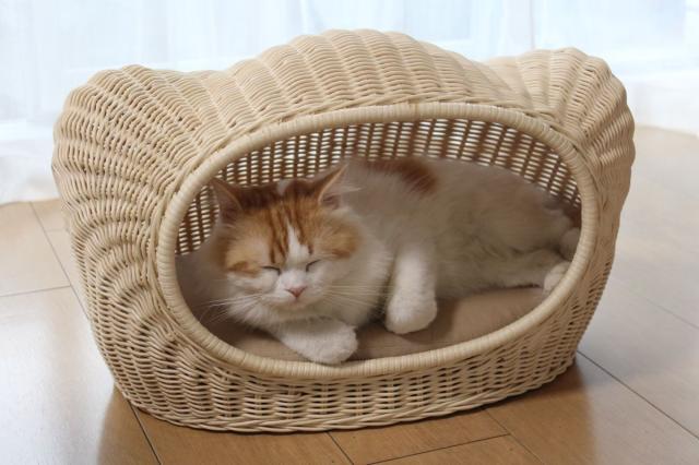 ペット用ハウス ラタンキティハウス ナチュラル 猫用 推奨体重〜7kgまで 58×37×35cm_2