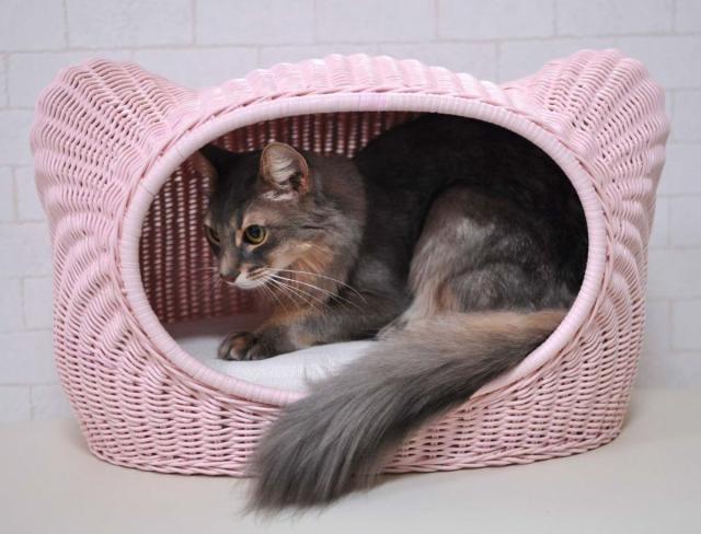 ペット用ハウス ラタンキティハウス ピンク 猫用 推奨体重〜7kgまで 58×37×35cm_1