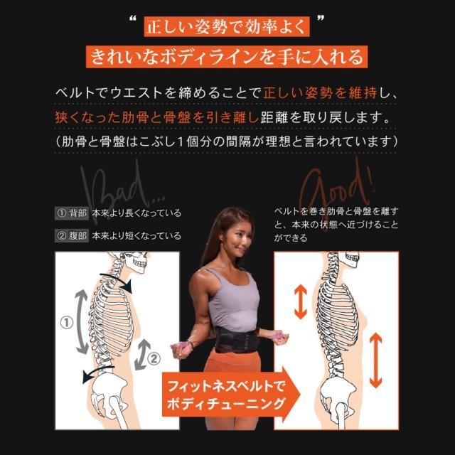 公式】ガードナー フィットネスベルト フィットネス ベルト
