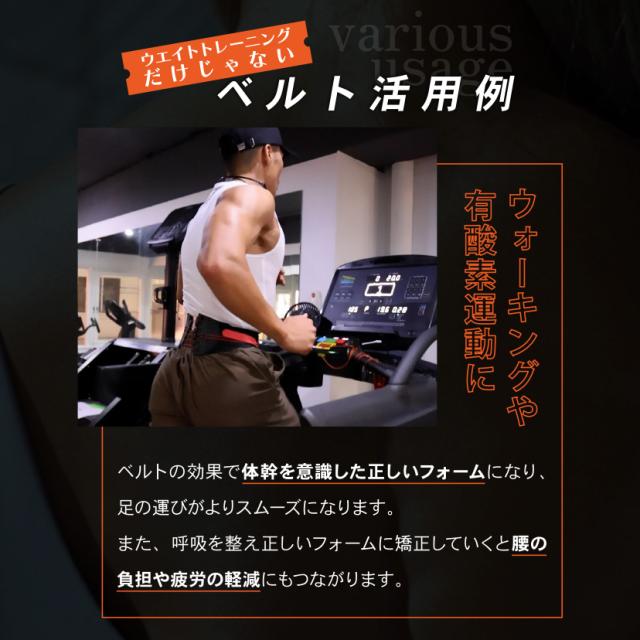 ガードナーフィットネスベルト サイズ : XXL（105～122cm） ギフト専用】ガードナーフィットネスベルト ギフト くびれベルト