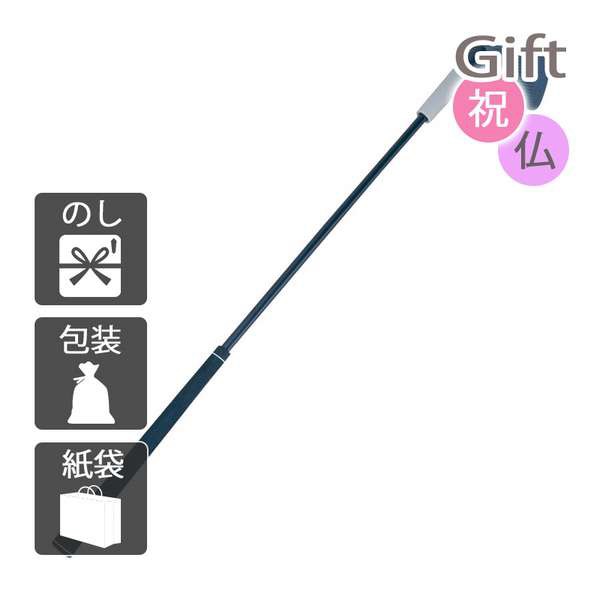 内祝い 快気祝い 出産祝い 結婚祝い ゴルフ練習用具 ダイヤスイング533の通販は