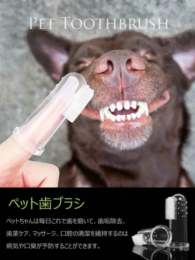 犬 猫 用 歯ブラシ 4個セット シリコン製 ペット 用 歯磨き 簡単 ケア 通販