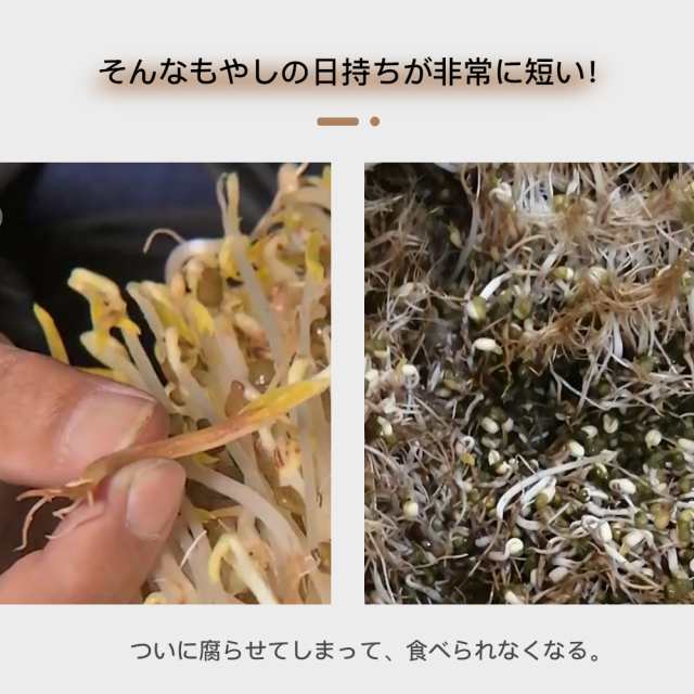 もやし栽培機 栽培容器 豆苗 容器 大豆もやし スプラウトマシーン 冬 自宅で野菜を栽培 室内 もやし栽培マシン 野菜 栽培キット 水耕栽培｜au  PAY マーケット