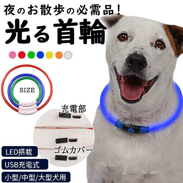 第一ネット 犬用首輪 M, オレンジ seedsofinnocence.com