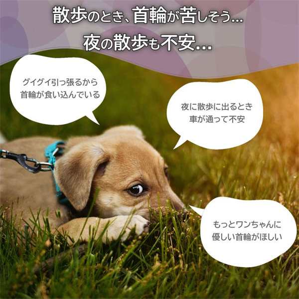 数量限定 送料無料 犬 首輪 犬用 スカルヘッド柄 可愛い 軽い ソフト