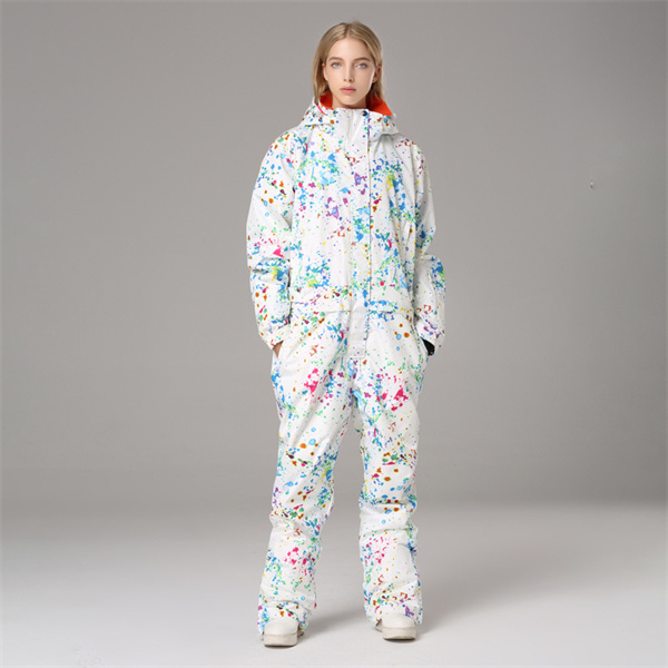 ポイント超超祭 スキーウェア スノーボードウェア レディース 上下