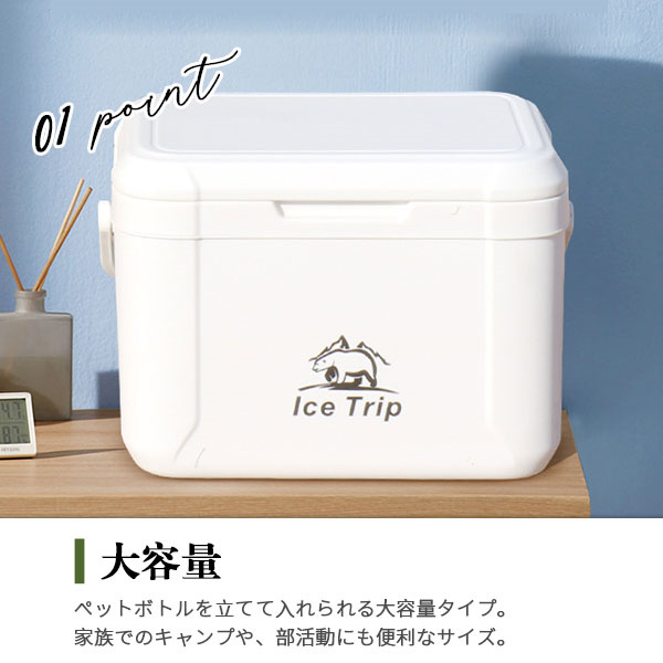 クーラーボックス 5L 保冷 軽量 ソフトバッグ BBQ キャンプ アウトドア dショッピング |クーラーバッグ 小型 5L 折りたたみ 保冷バッグ