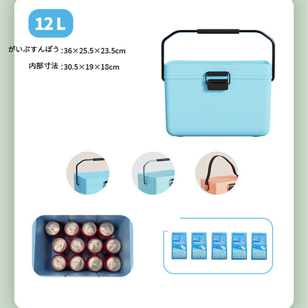 ポイント超超祭 クーラーボックス 小型 12L アウトドア 保冷 ボックス