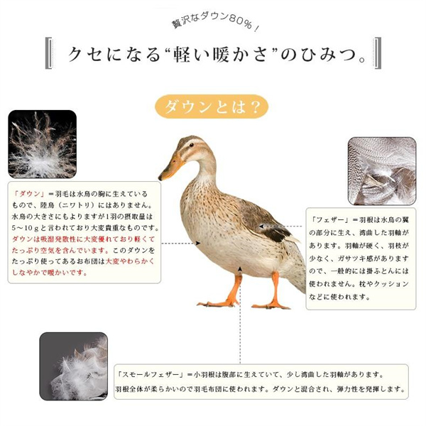 ポイント超超祭 シュラフ ダウン95% 寝袋 シュラフ アウトドア レジャー キャンプ 低使用温度-20度 スリーピングバッグ 車中泊 登山 冬用 防寒_5