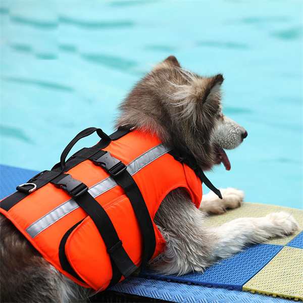 ライフジャケット ライフベスト 小型犬 中型犬 わんちゃん用 水遊び 海