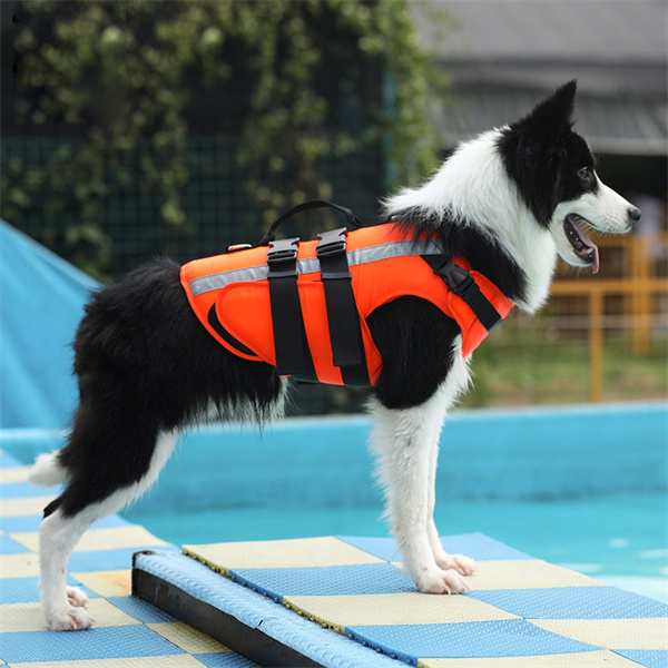 ライフジャケット ライフベスト 小型犬 中型犬 わんちゃん用 水遊び 海