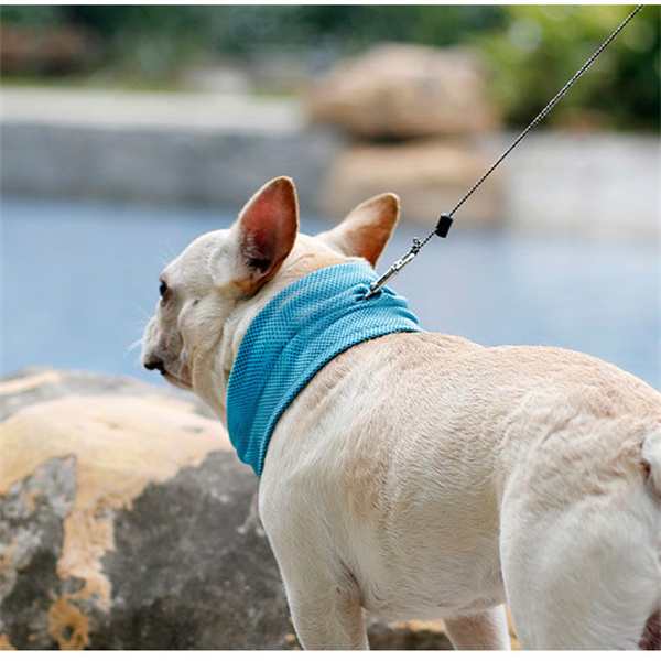 クールネック ひんやり グッズ 首 ペット 熱中症対策 メッシュ 通気性 冷たい クールスヌード 犬用 散歩 冷感 夏 ネッククーラー タオル