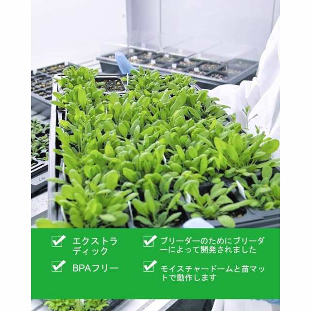 10枚 育苗ポット トレー 育苗トレイ 育苗箱 水耕栽培 ポット 苗箱 植物の発芽・育苗用セット 便利性 耐久性 園芸育苗ポットの通販はau PAY  マーケット - 藤原豆腐店 | au PAY マーケット－通販サイト