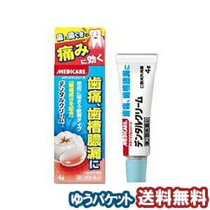 【第2類医薬品】 デンタルクリームT 4g メール便送料無料