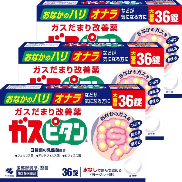 【第3類医薬品】ガスピタン 36錠×3個セット メール便送料無料