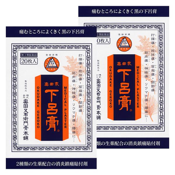 【第3類医薬品】奥田家下呂膏 20枚×2個セット メール便送料無料