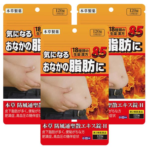 【第2類医薬品】 防風通聖散エキス錠-H 120錠×3個セット ※セルフメディケーション税制対象商品 メール便送料無料