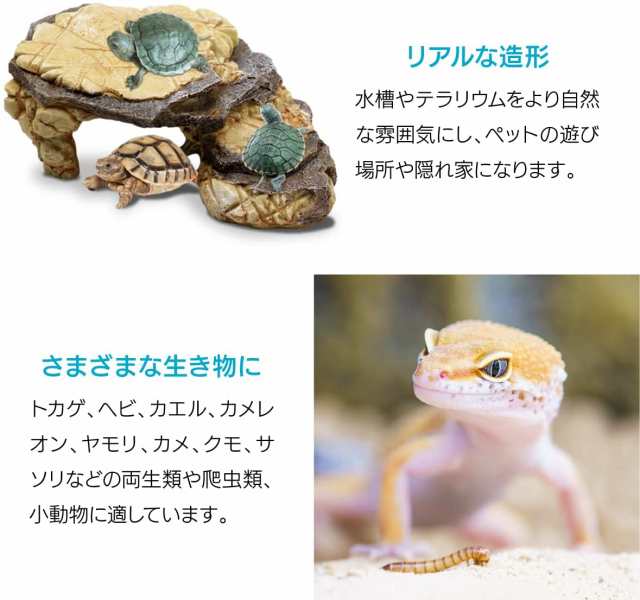 本店 カメの繁殖 シェルターレオパ カエルの隠れ家 カメの隠れ家