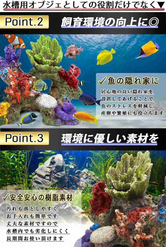 【格安特売】本物飾り珊瑚(アクアリウムやインテリア) 水草