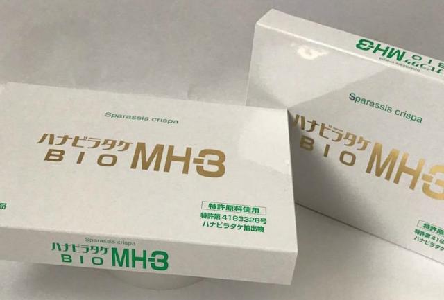 介護用マットレス『スーパーエクシード』離床応援キャビティタイプ　※展示品処分 介護用マットレス『スーパーエクシード』離床応援キャビティ