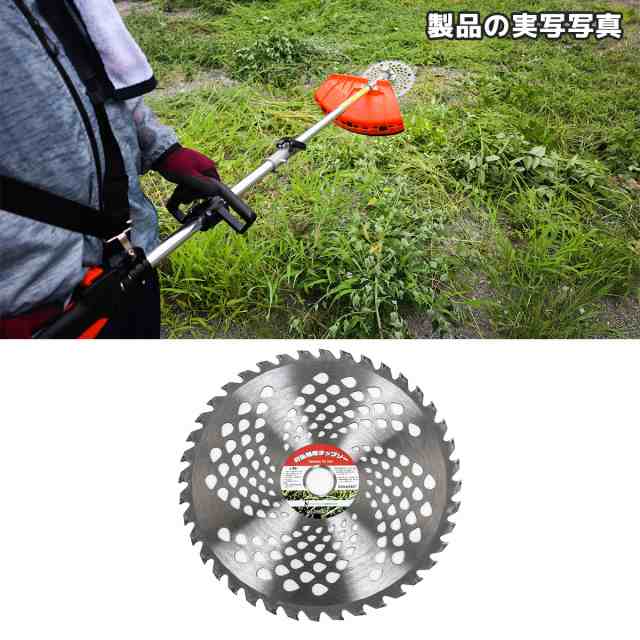 チップソー 替刃 255mm×40T 10枚セット交換 刃こぼれ 草刈機 草刈り機 草刈刃 チップソー 刈払機 草刈機 刈払い 草刈り 替刃 替え刃  軽の通販はau PAY マーケット 丸美 au PAY マーケット－通販サイト