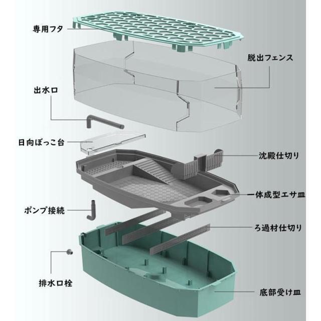 亀型壺 アフリカならではの壺 : Muntkidy
