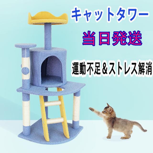 当日発送 猫ハウス キャットタワー 据え置き おしゃれ 猫 タワー 送料無料 爪とぎ おもちゃ ハウス 室内 人気 運動不足 安定 かわいい
