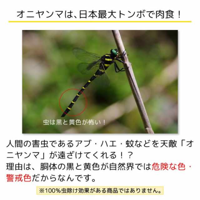 当日発送 虫よけ 虫除け アウトドア 虫除け対策 オニヤンマ おにやんま キャンプ キーホルダー 子供 虫除けキーホルダー 虫が嫌がる 虫除の通販はau  PAY マーケット - いくちゃんのときめきストア