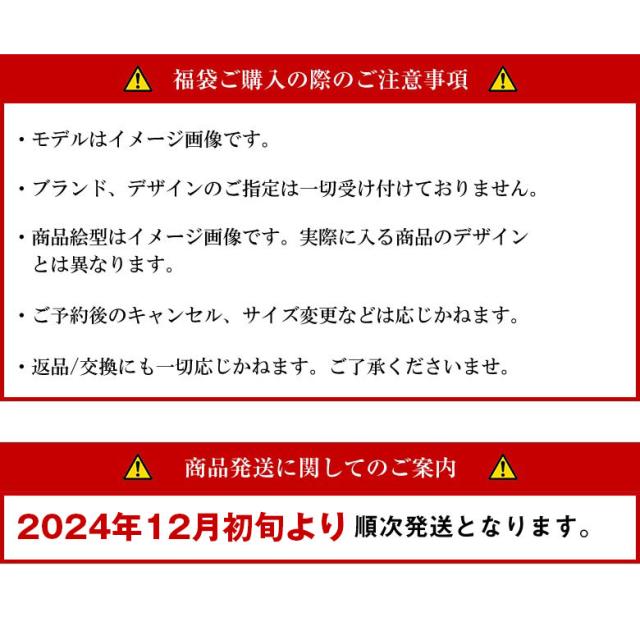 【クーポン使用不可】福袋 メンズ 2024 予約 送料無料 12点 セット 【2024年12月初旬頃発送予定】ブランド ファッション おしゃれ かっこいい ストリート系 アメカジ 大きいサイズ EYEDY アイディー M L XL XXL 2L 3L LL LLLの通販は