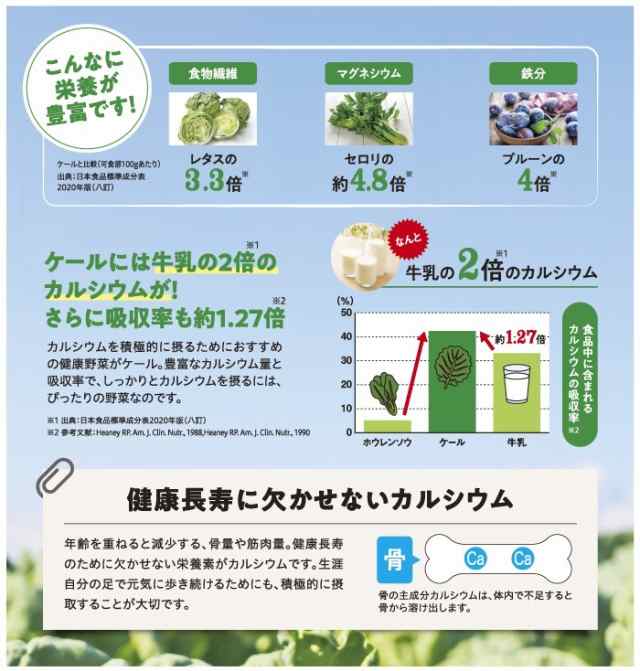 キューサイ ザ・ケール＋乳酸菌 青汁 粉末 健康食品 ケール 国産 ビタミン カルシウム 鉄分 オリゴ糖 送料無料 粉末 乳酸菌 無糖 原材料別