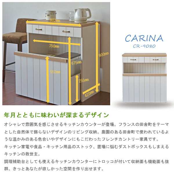 キッチンカウンターレンジ台 カウンター ゴミ箱 ゴミ箱収納 引き出し