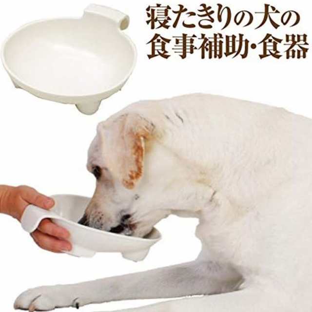 老 犬 セール 食器