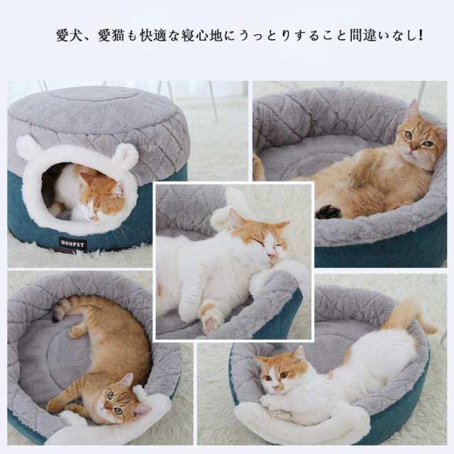 ペットベッド 犬 猫 ドーム型 ペットハウス 2way ペットソファー ドーム型ベッド 涼感マット ペットクッション 夏用マット 猫用 犬用ハウの通販はau  PAY マーケット DEEPARK au PAY マーケット－通販サイト