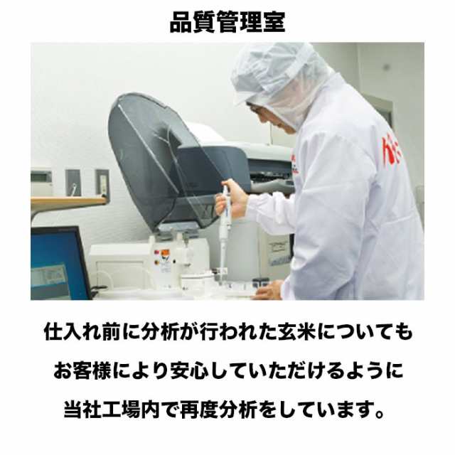 ゆめみづほ 10kg (5kg*2) 令和4年産 石川県産 新米 米 お米 白米 おこめ 精米 単一原料米 ブランド米 10キロ 送料無料 国内産 国産の通販はau  PAY マーケット - ナチュラル